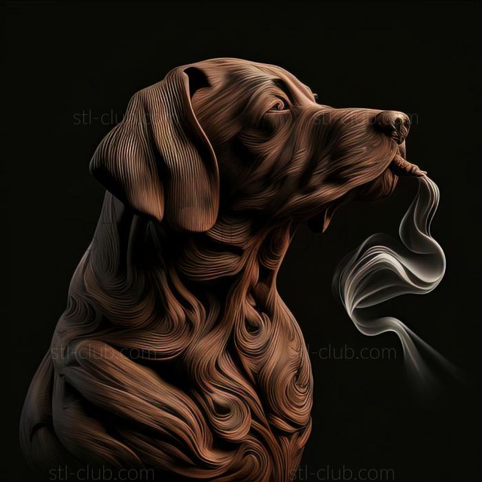 st Smoke dog dog